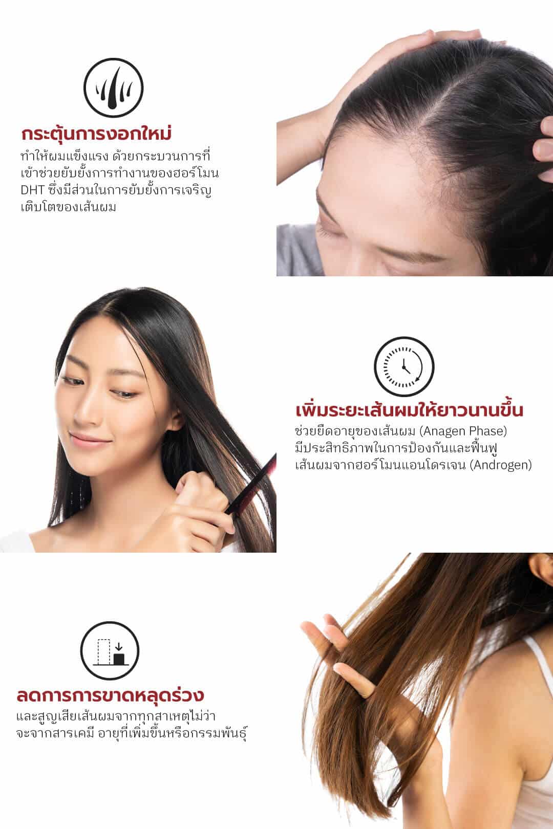 แก้ผมร่วง